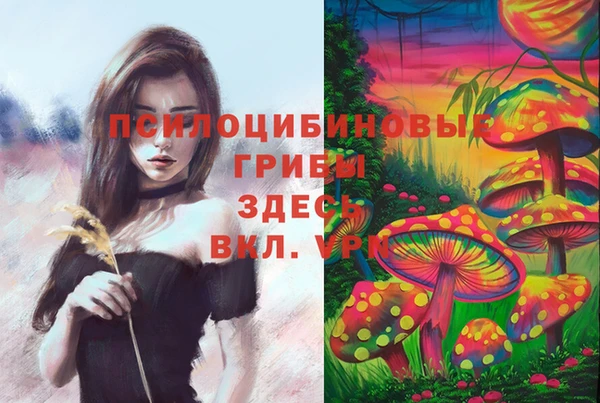 прущая мука Беломорск
